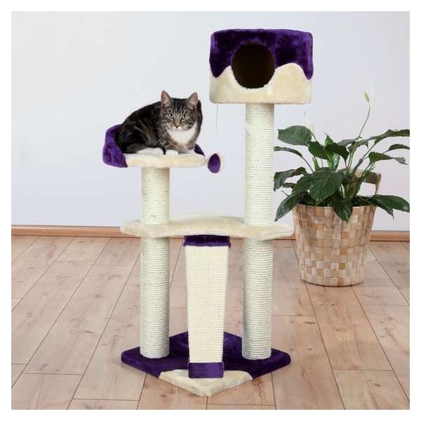 arbre a chat violet